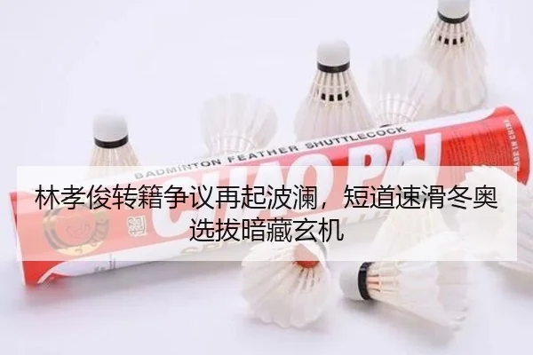 lin-xiao-jun-zhuan-ji-zheng-yi-zai-qi-bo-lan-duan-dao-su-hua-dong-ao-xuan-ba-an-cang-xuan-ji-3-902.jpg