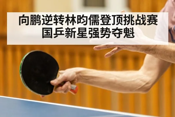 向鹏逆转林昀儒登顶挑战赛 国乒新星强势夺魁