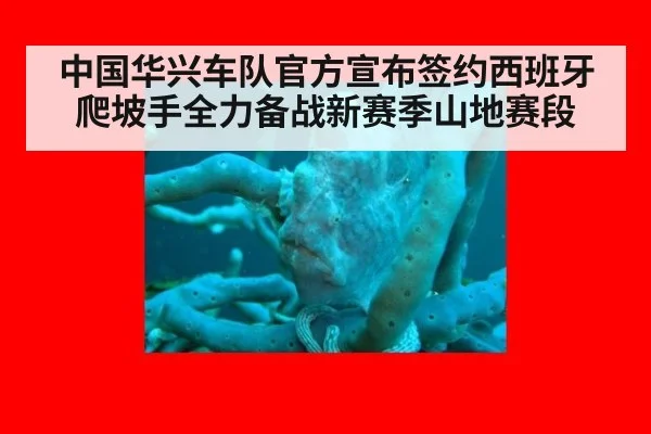 中国华兴车队官方宣布签约西班牙爬坡手全力备战新赛季山地赛段